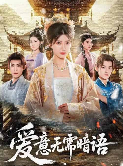 爱意无需暗语(60集全)臧晓嘉&卢彦觉浅-搜外项目网