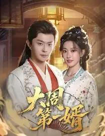 大周第一婿(114集全)马瑞泽&王硕-搜外项目网