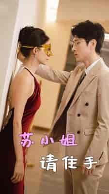 苏小姐请住手（82集）陈思琦-搜外项目网