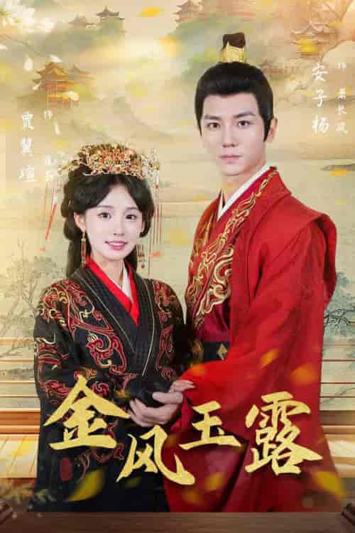 金凤玉露(47集全)贾翼萱-搜外项目网
