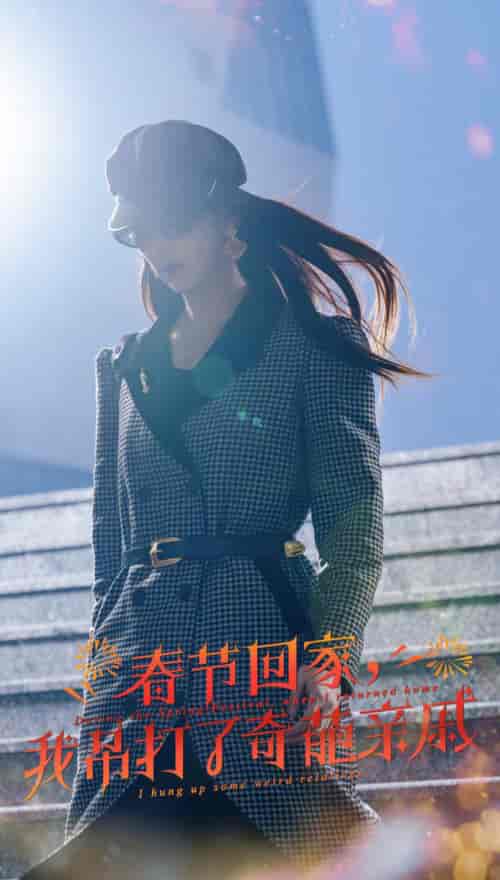 爆竹声中谙世路＆春节回家我吊打了奇葩亲戚（30集全）金鑫欣-搜外项目网