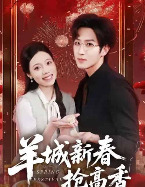 羊城新春抢高香（80集全）王晨钊＆罗雯-搜外项目网