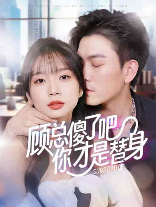 顾总傻了吧你才是替身（80集全）-搜外项目网