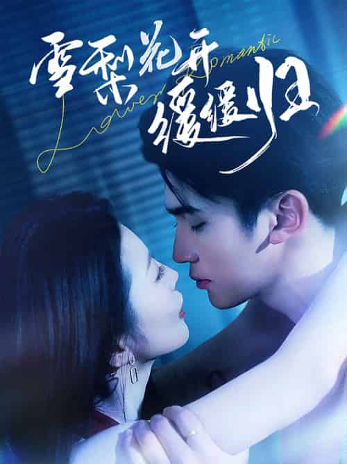 雪梨花开缓缓归（70集）李思杨＆肖琳-搜外项目网