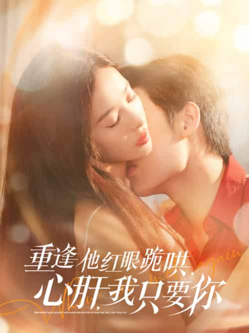 重逢他红眼跪哄，心肝，我只要你（84集）易恒＆张凝慈-搜外项目网