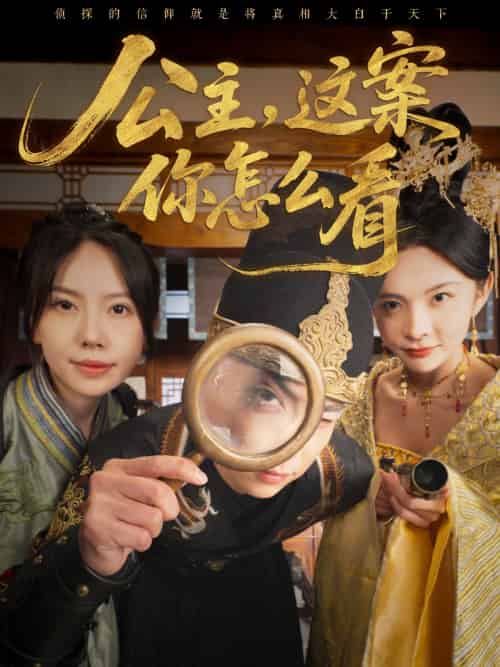 公主,这案你怎么看(81集)张涵&蒋开鑫-搜外项目网
