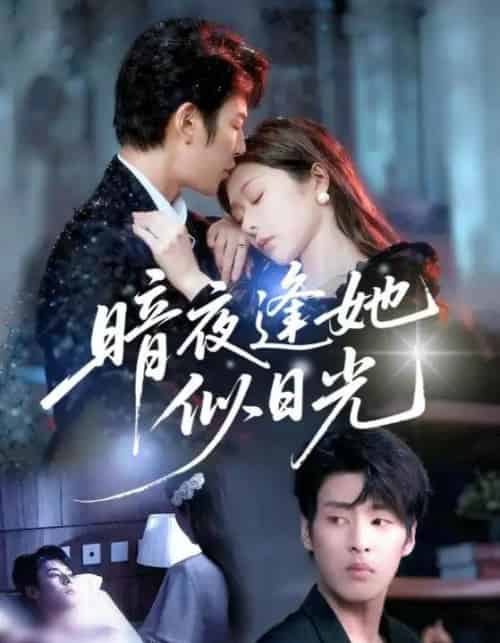 暗夜逢她似日光（72集全）孙妍恩＆刘云禹-搜外项目网