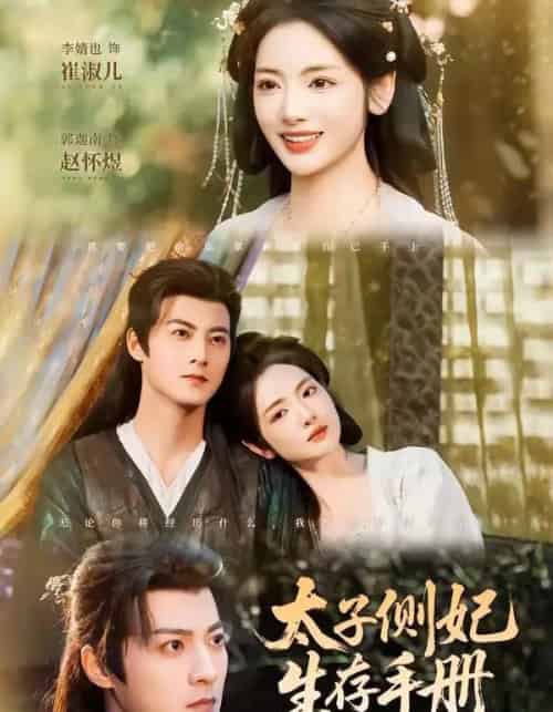 太子侧妃生存手册（63集全）郭迦南＆李婧也-搜外项目网