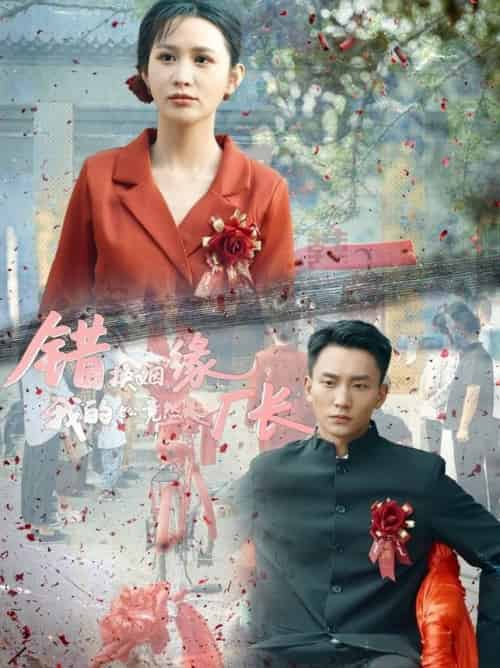 错换姻缘，我的老公竟然是厂长（57集全）李茉＆李仁郅-搜外项目网