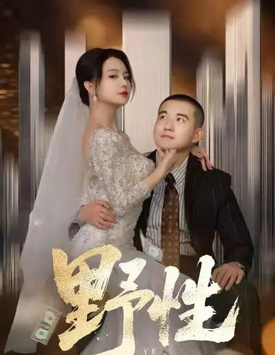 野性＆分手后，顶头上司要嫁我（70集全）阎论＆梦露-搜外项目网