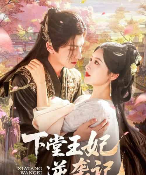 下堂王妃逆袭记（77集）郁葱＆刘蒙雨（阿阮）-搜外项目网