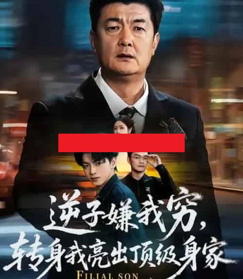 逆子嫌我穷,转身我亮出顶级身家(64集全)罗雪芹&牟建平-搜外项目网