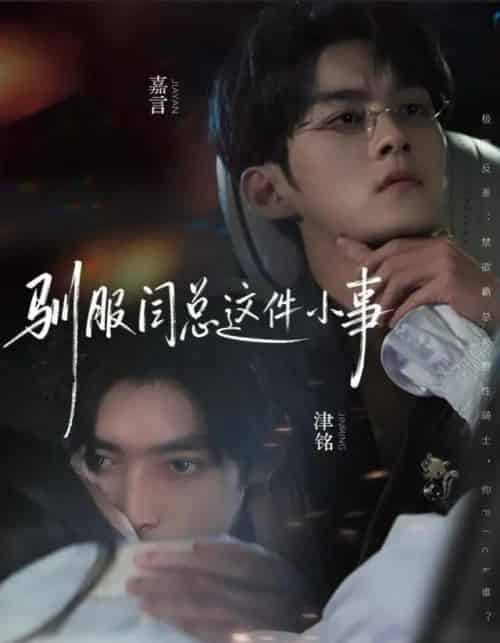 驯服闫总这件小事(58集全)嘉言&津铭-搜外项目网