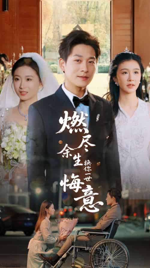 燃尽余生换你一世悔意（64集）张旋＆程美华-搜外项目网