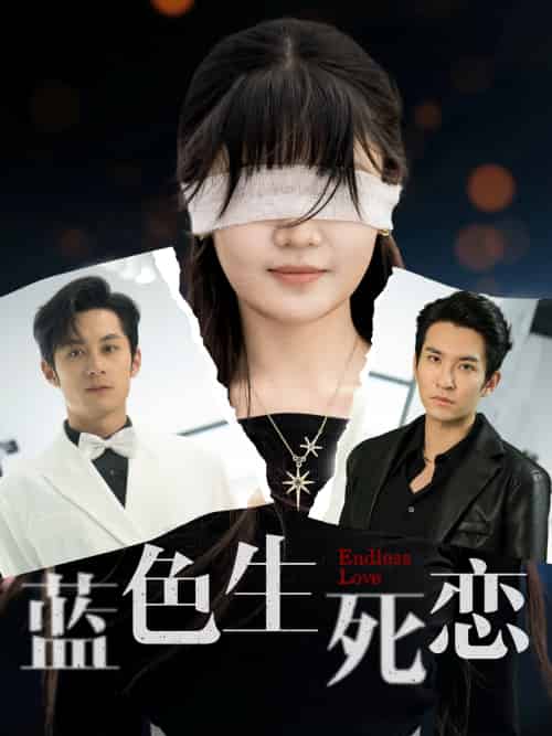 蓝色生死恋（81集）张屹杨＆王已歌＆陈雅钰-搜外项目网