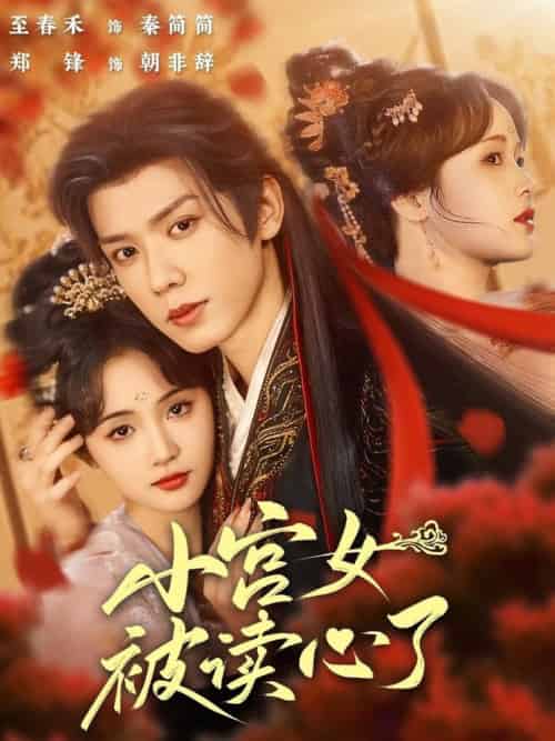 小宫女被读心了（66集全）郑锋＆至春禾-搜外项目网