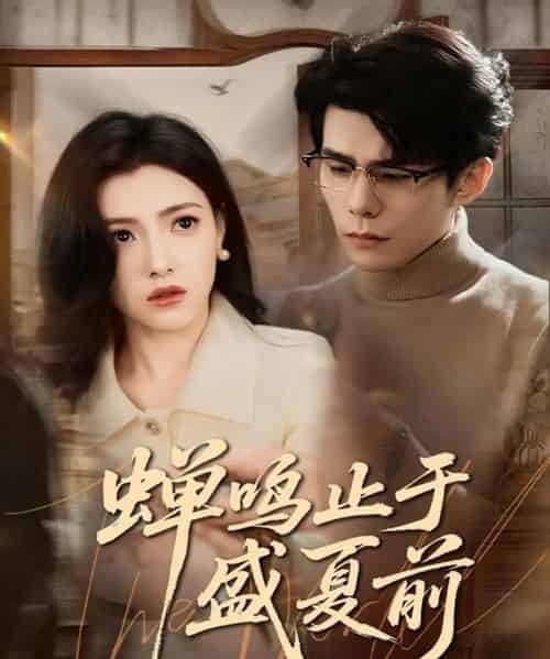蝉鸣止于盛夏前(64集全)李蒲赫&樊楚琦-搜外项目网