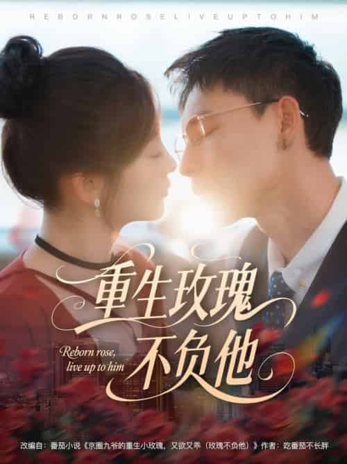 重生玫瑰不负他（70集全）冯铭潮＆张若辰-搜外项目网