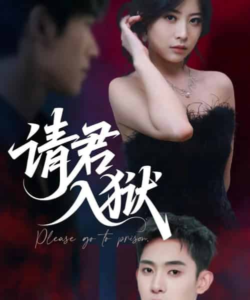 请君入狱（31集）刘雪莹＆李志一-搜外项目网