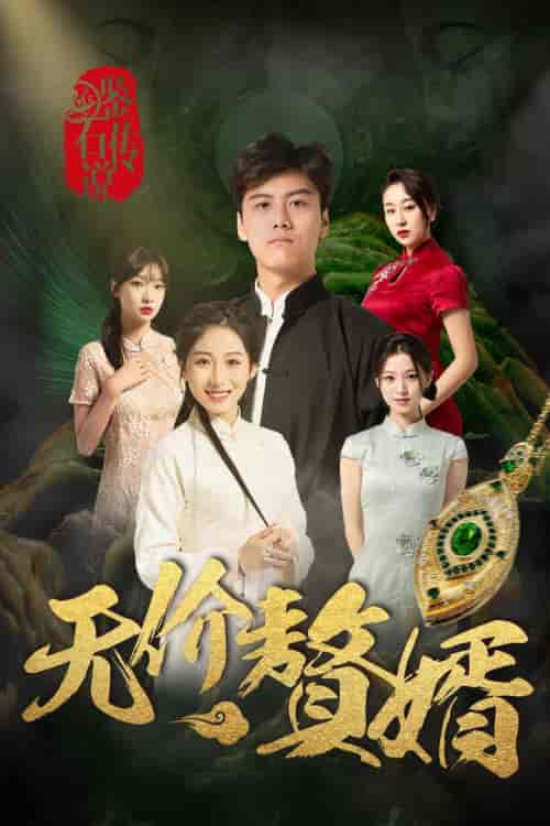 鉴宝传说之无价赘婿（100集全）丁磊 侯雨彤-搜外项目网