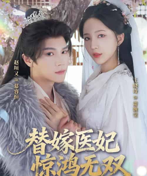 替嫁医妃惊鸿无双（64集）赵垣又＆王晓诗-搜外项目网