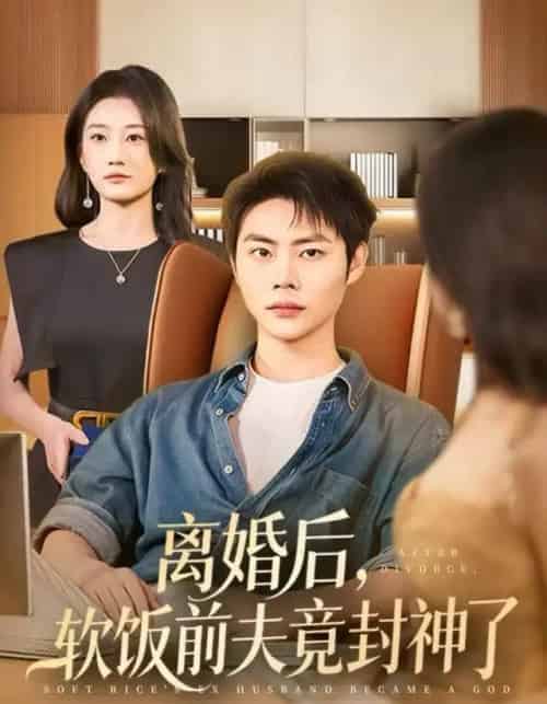 离婚后，软饭前夫竟封神了（78集全）林元元＆肖智夫-搜外项目网