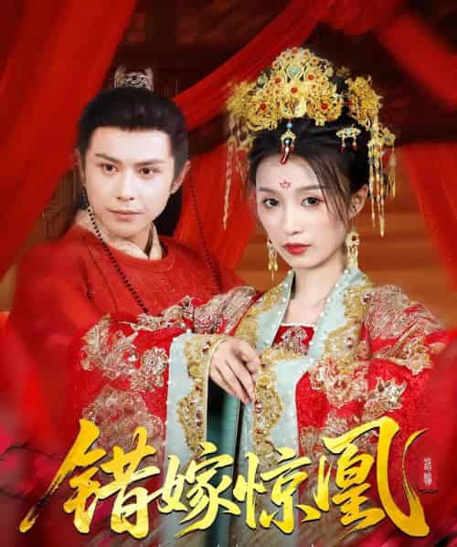 上错花轿我当场改嫁前夫他爹＆重生花轿这世换我当婆婆＆错嫁惊凰（100集）龚小钧＆虞彤彤-搜外项目网