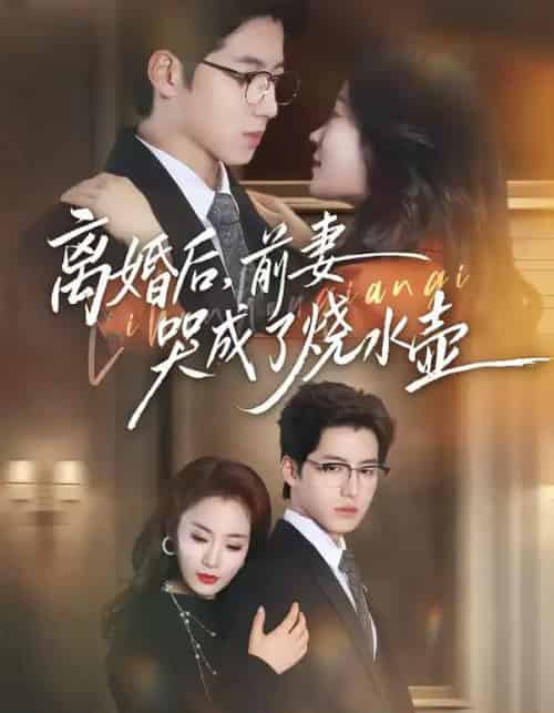 离婚后，前妻哭成了烧水壶（60集全）甜鹅＆董星岩-搜外项目网