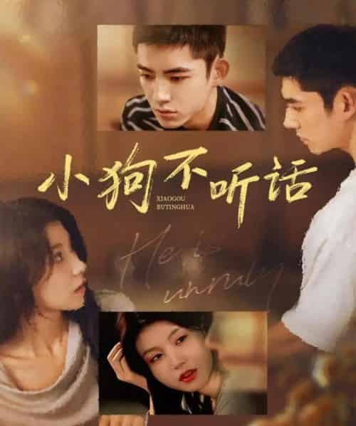 小狗不听话（70集全）马浩东＆何田田-搜外项目网