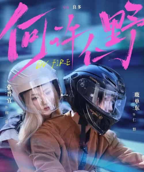 何许仁野（60集全）鹿单东＆张晋宜-搜外项目网