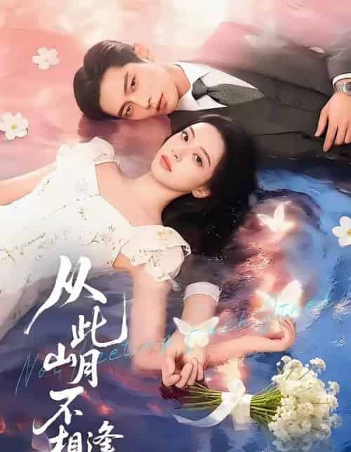 从此山月不相逢（71集全）AI-搜外项目网