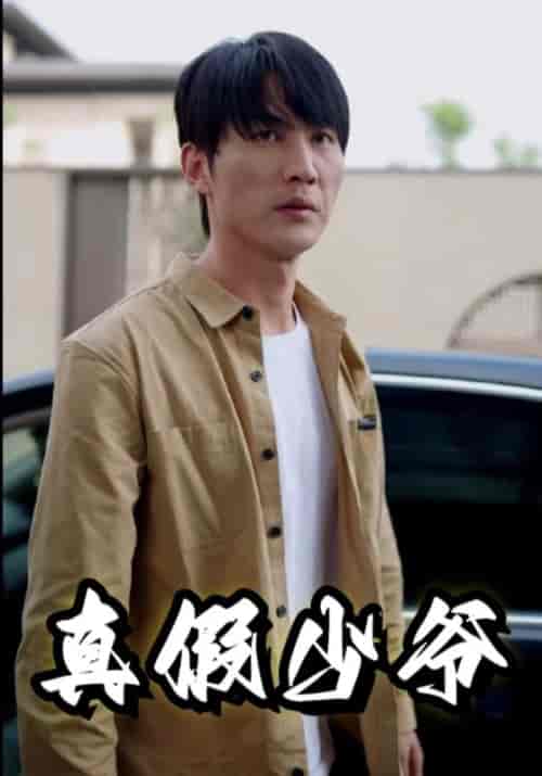 真假少爷(35集全)周朕&王予然-搜外项目网