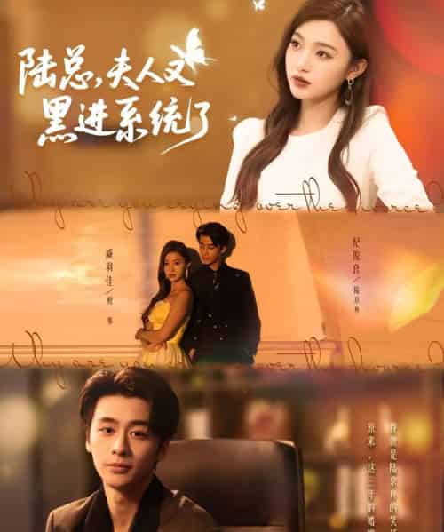 陆总夫人又黑进系统了（81集）纪俊良＆戚羽佳-搜外项目网