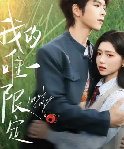 我的唯一限定（60集全）林君怡＆向帅-搜外项目网