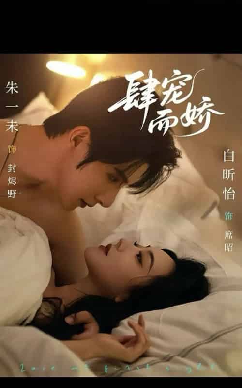 肆宠而娇（78集全）朱一未＆白昕怡-搜外项目网