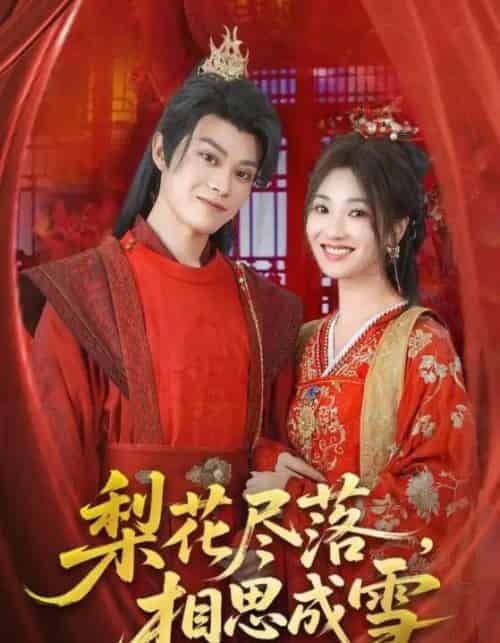 梨花尽落相思成雪（81集）宁胭＆朱城玮-搜外项目网