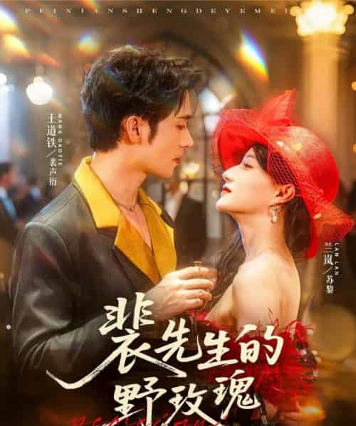 裴先生的野玫瑰（72集）兰岚＆王道铁-搜外项目网