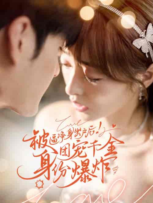 被逼净身出户后团宠千金身份爆炸（70集全）-搜外项目网