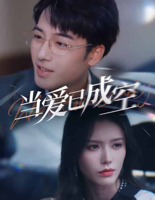 当爱已成空（30集全）薛子祺-搜外项目网