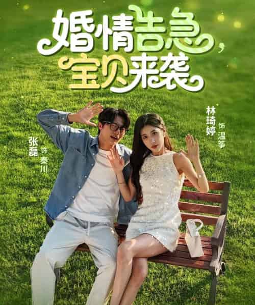 婚情告急宝贝来袭（77集）张磊＆林琦婷-搜外项目网