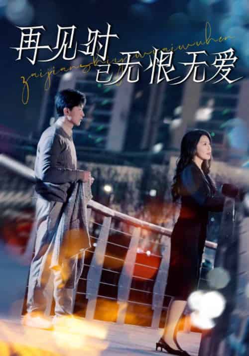 再见时已无恨无爱(62集全)王鹏&丁海霞-搜外项目网