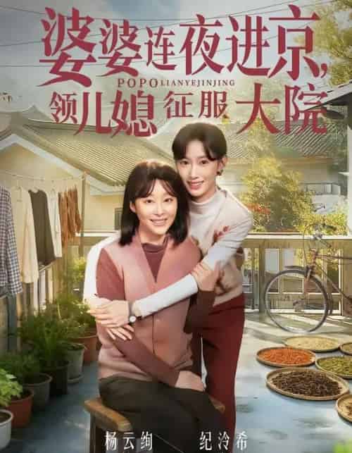 婆婆连夜进京,领儿媳征服大院(78集全)纪泠希&杨云绚-搜外项目网