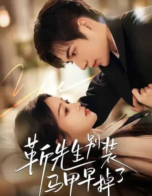 靳先生别装马甲早掉了（60集全）刘苗苗＆曾帅翔-搜外项目网