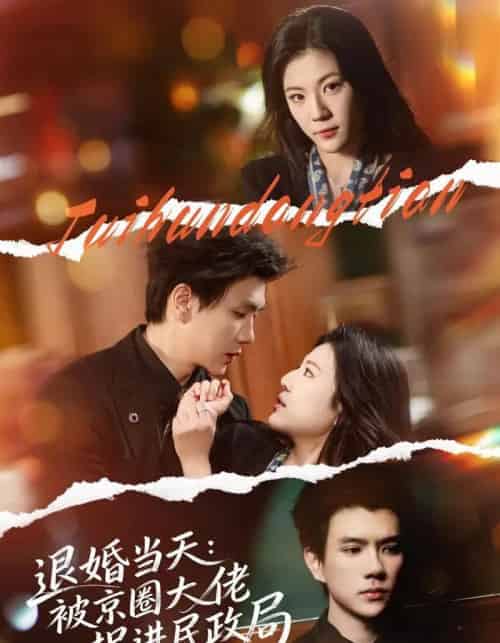 退婚当天:被京圈大佬拐进民政局(80集全)唐子璇&梦龙-搜外项目网