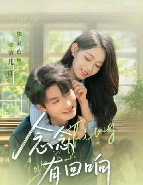 念念有回响(78集全)卢奂瑜&李冰冰-搜外项目网