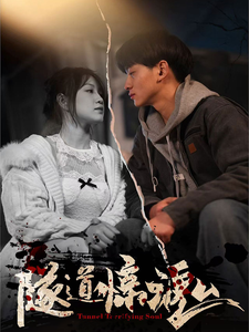 隧道惊魂(30集全)-搜外项目网