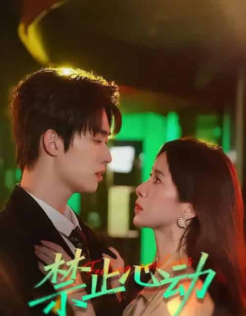 禁止心动（60集全）刘宇航＆吴欣蔓-搜外项目网