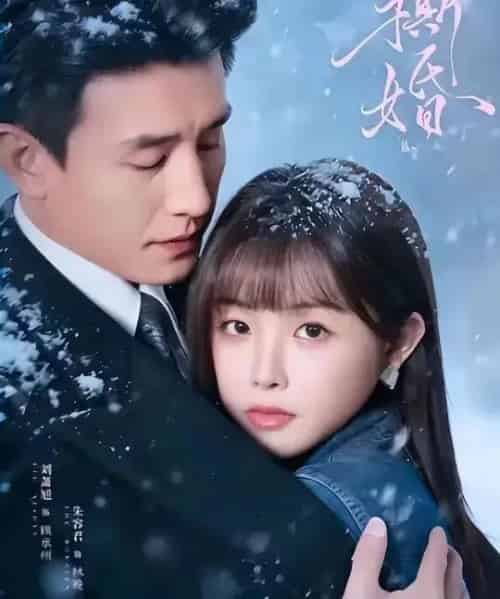 撕婚（23集全）刘萧旭＆朱容君（兔子牙）-搜外项目网