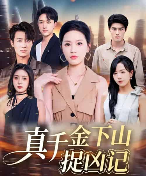 真千金下山捉凶记（76集全）陈晓东＆宾淑贤-搜外项目网