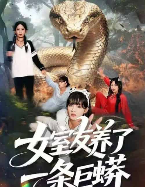 女室友养了一条巨蟒（80集全）彭洋洋＆郑凯＆常舒畅-搜外项目网